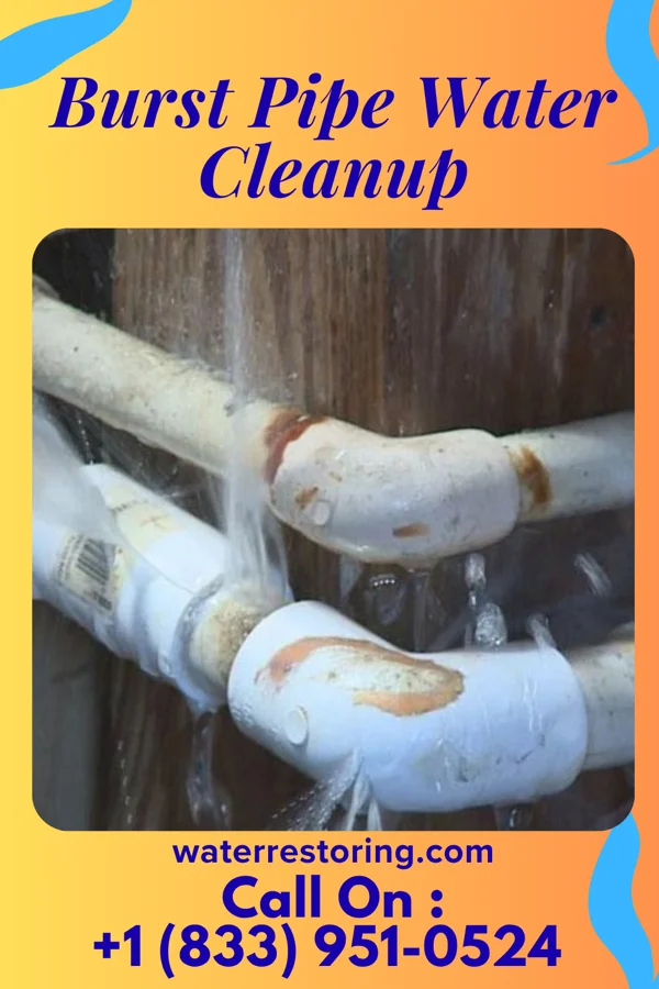 Burst Pipe Water Cleanup in Big Lake, WA