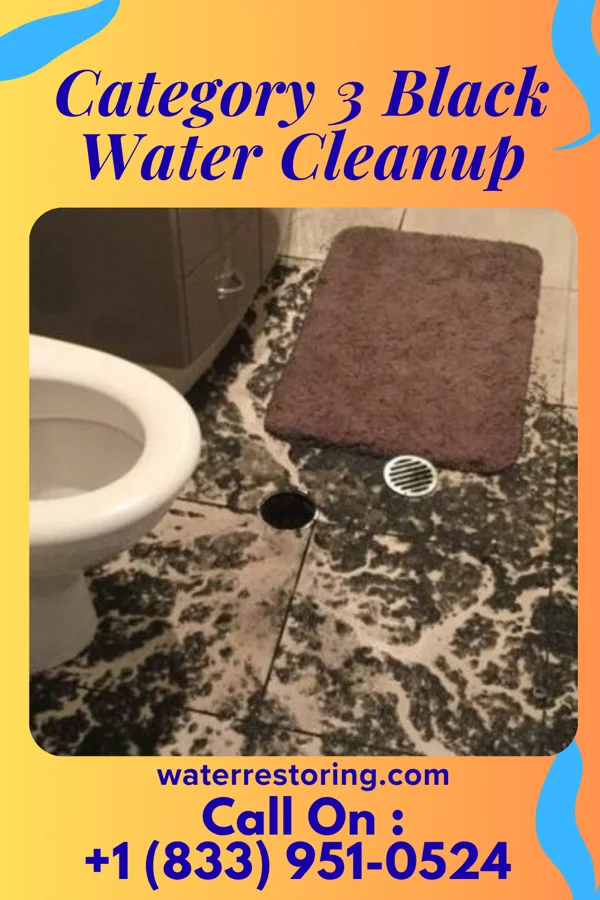 Category 3 Black Water Cleanup in Big Lake, WA
