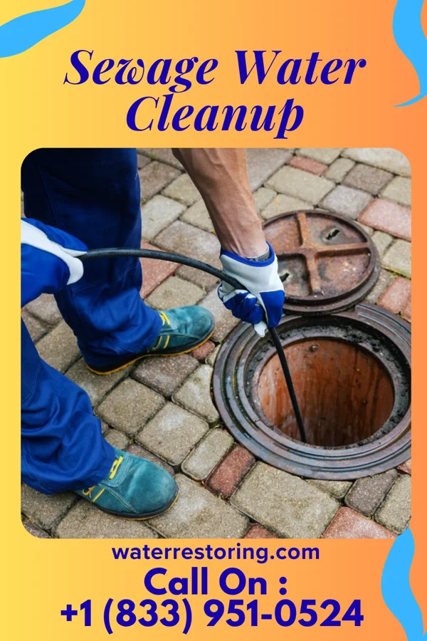Sewage Water Cleanup in Big Lake, WA